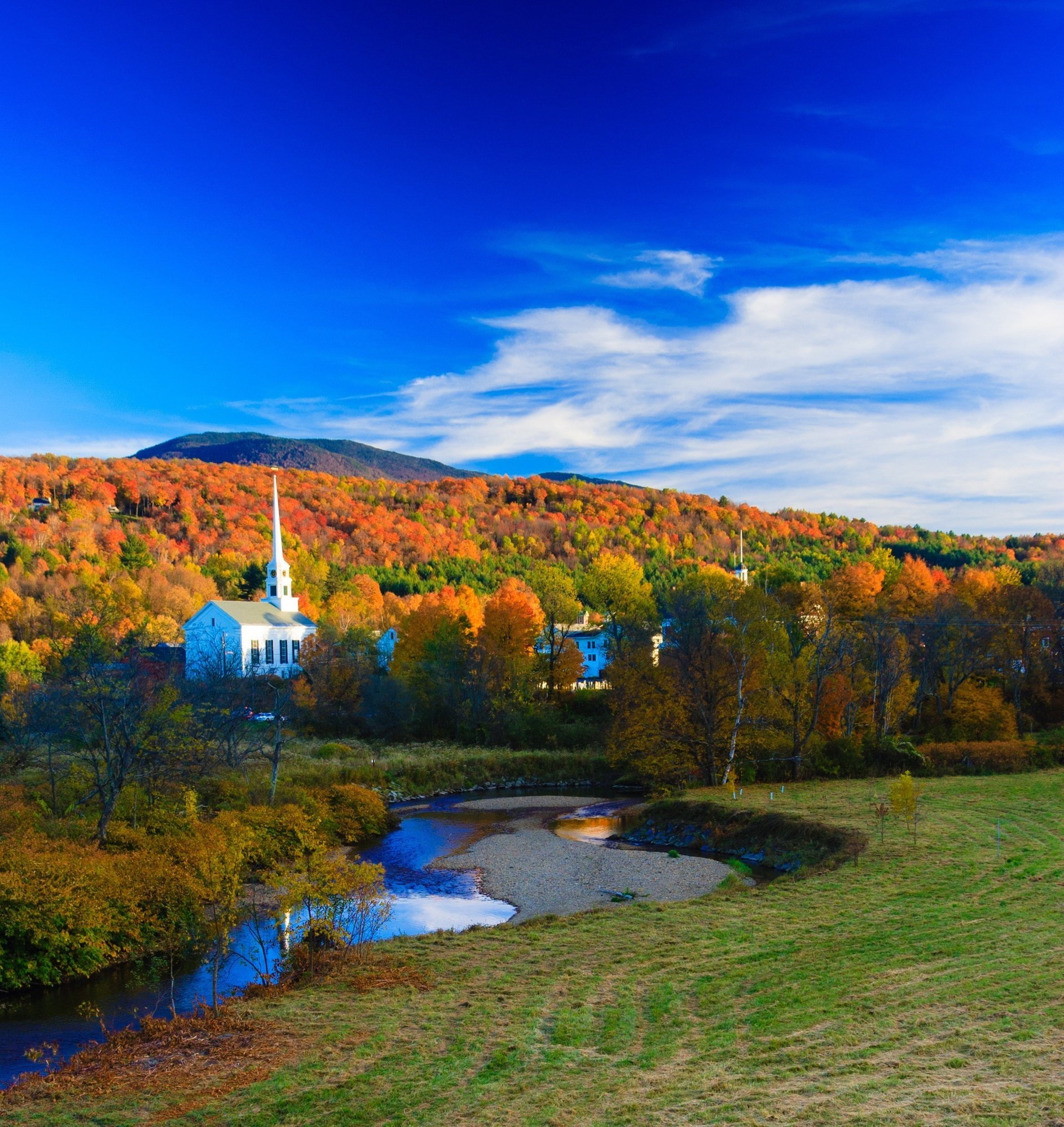 AdobeStock_89302536-1-1 AdobeStock_89302536-1-1