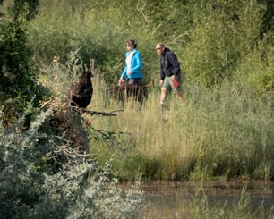 Many people that hike trails may never be aware of a lot of the wildlife they past. They still have a responsibility to be conscientious of what they are doing and how it impacts wildlife.