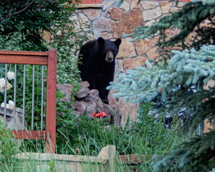 Many people that hike trails may never be aware of a lot of the wildlife they past. They still have a responsibility to be conscientious of what they are doing and how it impacts wildlife.