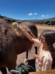 Horse Camp