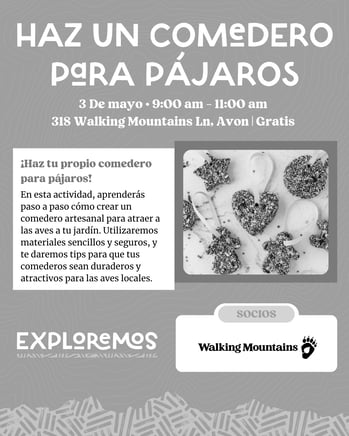 Comedero de pajaros-1