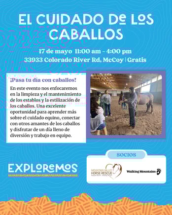 Cuidado de los caballos-1
