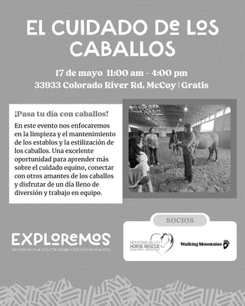 Cuidado de los caballos-2