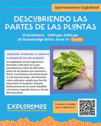 DESCuBRIENDO LAS PARTES DE LAS PLaNTAS
