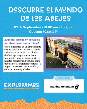 El mundo de las abejas 