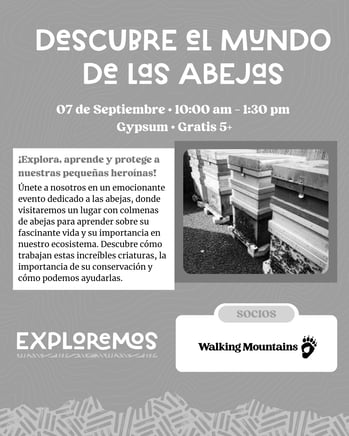 El mundo de las abejas-1