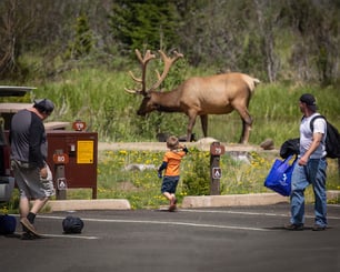 Who is the slowest person in this group? This is a dangerous situation for all.