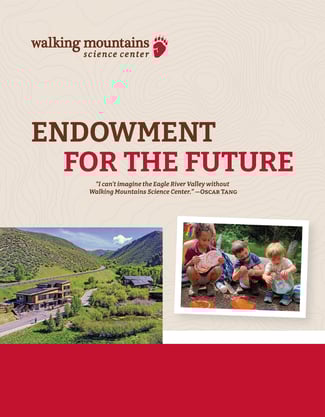 Endowment for the Future