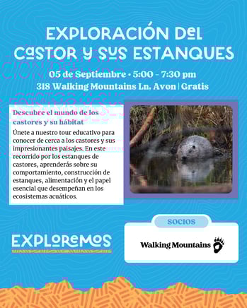 Exploración del castor