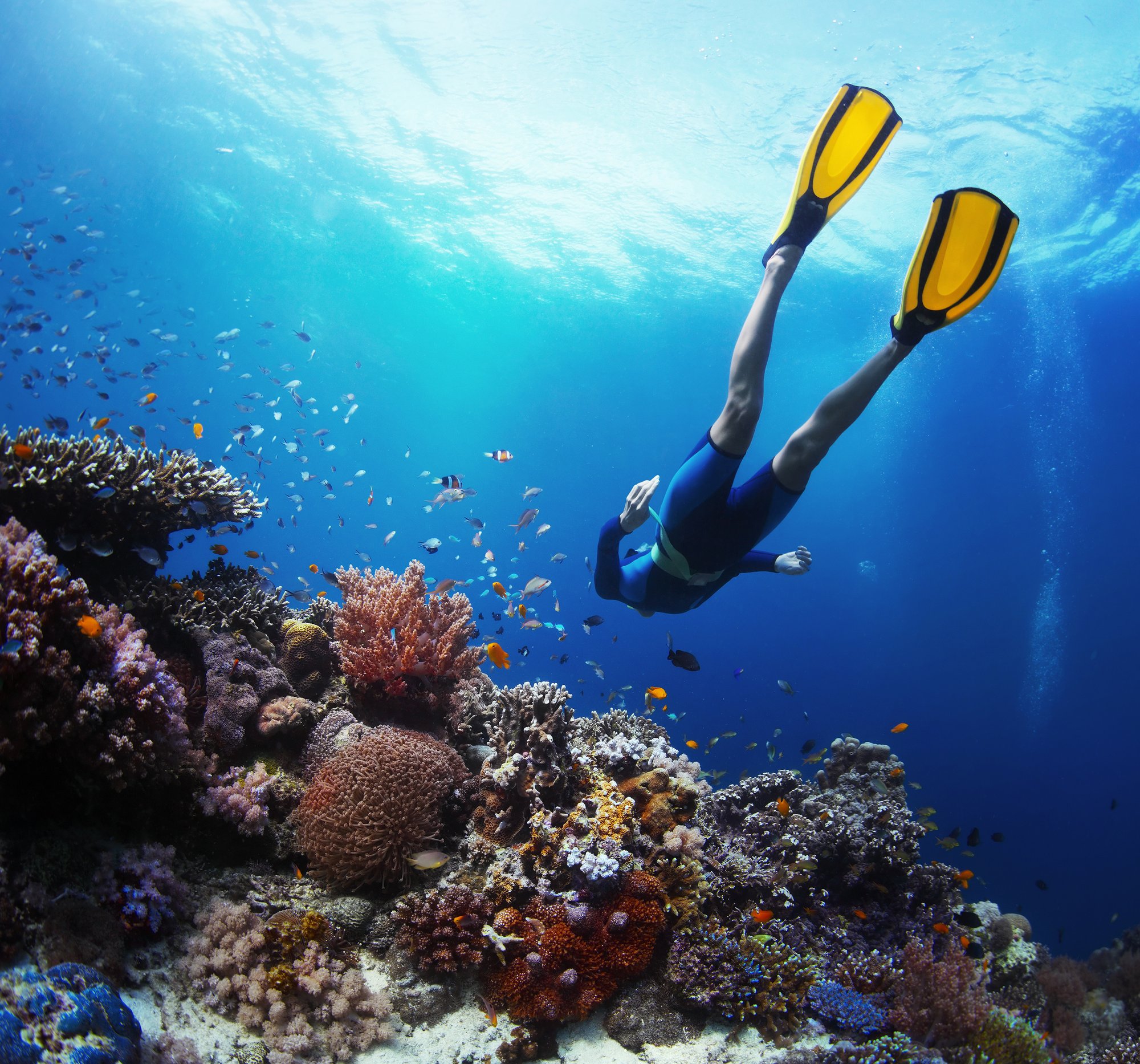 IDEAL - snorkeling IDEAL - snorkeling