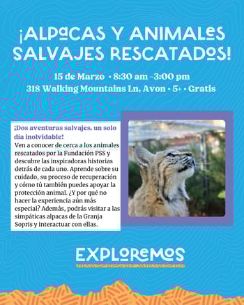 Los animales nocturnos (2)