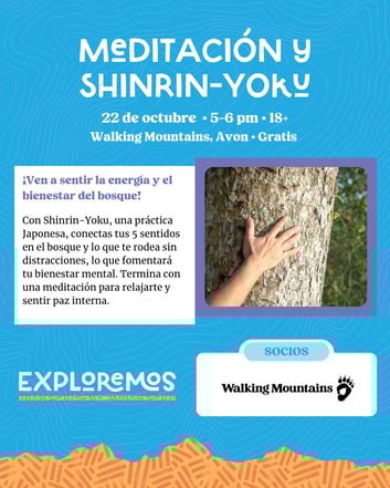 Meditacion-2