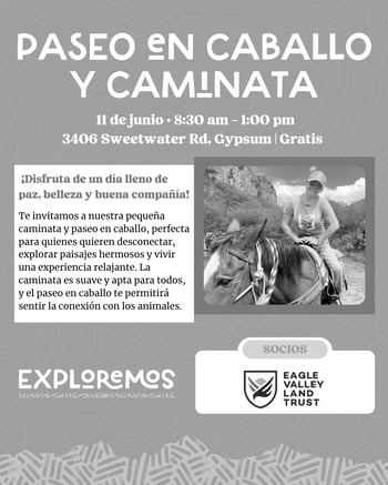 Paseo en caballo-2