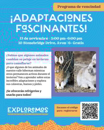 Adaptaciones Fascinantes