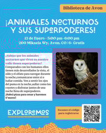 Template-Dec-31-2025-05-37-09-8831-PM