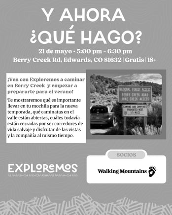Y ahora que hago-3