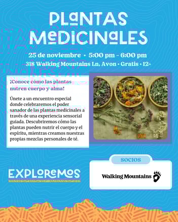plantas medicinales-1